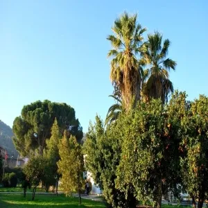 Foto de Yoruk Ali Efe Museum