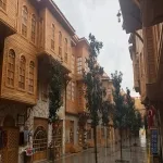 Foto 4 Ecdad Parkı
