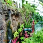 Foto 1 Konya Tropical Butterfly Garden
